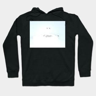 Winter Birds in Flight Hoodie